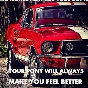 Meet your Posher, Tammy